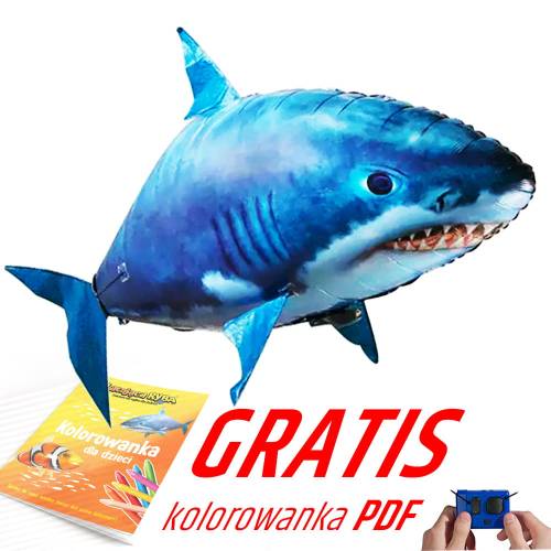 zdjecie-glowne-rekin.jpg