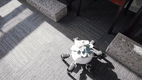 Robot-hexa-do-podlewania-roslin-robosklep