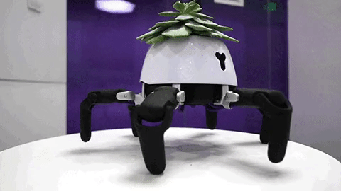 Robot-hexa-do-podlewania-roslin-robosklep