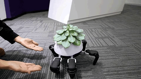 Robot-hexa-do-podlewania-roslin-robosklep